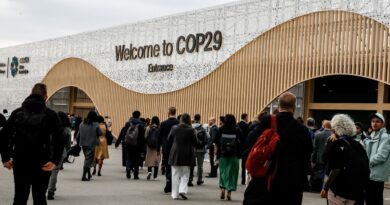 Editorial: Africans Are Not Hungry in Azerbaijan! Tarnishing Africa’s Image at COP29, A Condemnation of Gutter Journalism