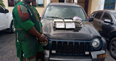 Intelligence-Led Police Operation Leads to Major Drug Seizure in Volta Region