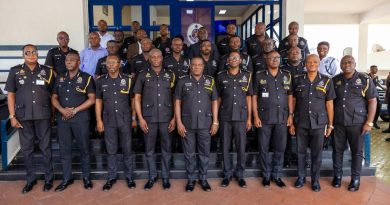 IGP promotes 17 officers after major drug and arms seizures
