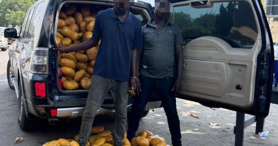 Police Intercept 1,600 Wrapped Indian Hemp
